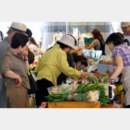 写真はイメージ／（Ｃ）日刊ゲンダイ