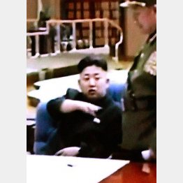 姿が見えなくなって１カ月…／（Ｃ）ＡＰ