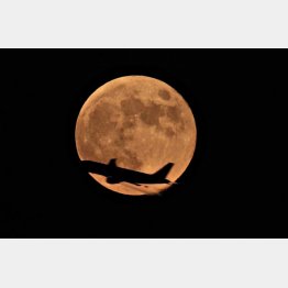 満月は引力が強い／（Ｃ）ＡＰ