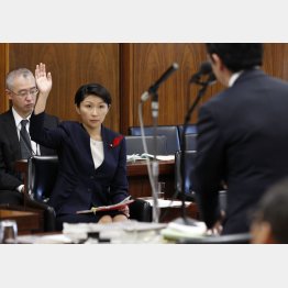 野党が厳しく追及／（Ｃ）日刊ゲンダイ