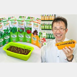 「サカタのタネ」の廣瀬健一さん／（Ｃ）日刊ゲンダイ