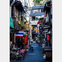 （Ｃ）日刊ゲンダイ