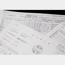 デタラメな収支報告書／（Ｃ）日刊ゲンダイ