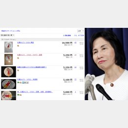 なぜかヤフオクで人気