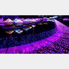 ／（Ｃ）日刊ゲンダイ