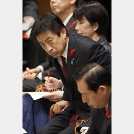 塩崎厚労相もしどろもどろ／（Ｃ）日刊ゲンダイ