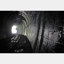 （Ｃ）日刊ゲンダイ