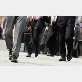 （Ｃ）日刊ゲンダイ