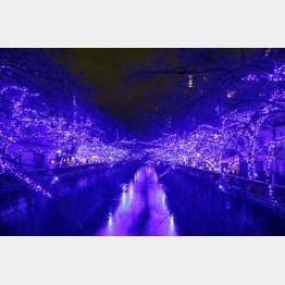 （Ｃ）日刊ゲンダイ