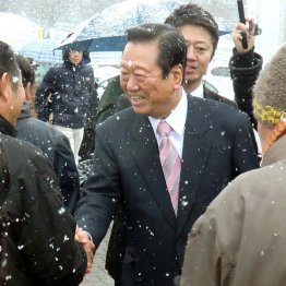 生活の党は２議席に半減した／（Ｃ）日刊ゲンダイ