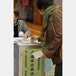 あきらめムード蔓延／（Ｃ）日刊ゲンダイ