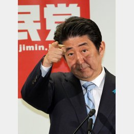 やりたい放題／（Ｃ）日刊ゲンダイ