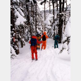 写真はイメージ（バックカントリースキー）／（Ｃ）日刊ゲンダイ