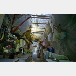 ／（Ｃ）日刊ゲンダイ