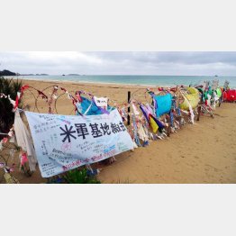 辺野古の海岸／（Ｃ）日刊ゲンダイ