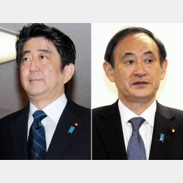 不協和音／（Ｃ）日刊ゲンダイ