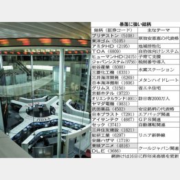 暴落ならではの投資術もある／（Ｃ）日刊ゲンダイ