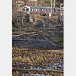 ／（Ｃ）日刊ゲンダイ