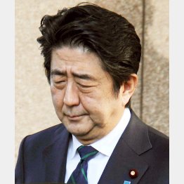 ぐったり／（Ｃ）日刊ゲンダイ