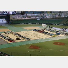 西武ドームで繰り広げられた「リアル車将棋」