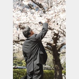 写真はイメージ （Ｃ）日刊ゲンダイ