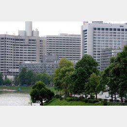 霞が関は大歓迎（Ｃ）日刊ゲンダイ