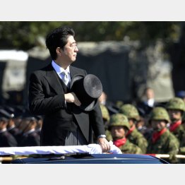 やりたい放題（Ｃ）日刊ゲンダイ