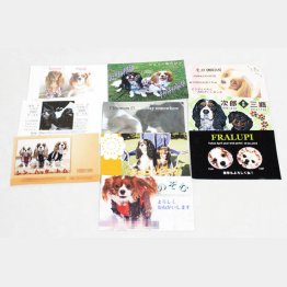 「２枚目名刺」には趣味や資格を書き込む（Ｃ）日刊ゲンダイ