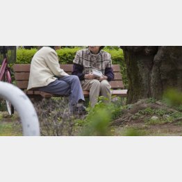 写真はイメージ（Ｃ）日刊ゲンダイ