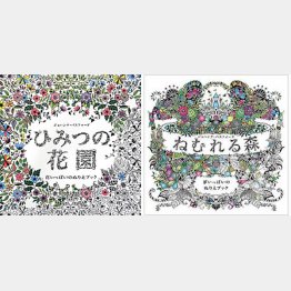世界で１４０万部以上の売れ行き（「ひみつの花園」と「ねむれる森」の表紙）