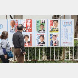 どこがどう違うのか有権者には見えてこない（Ｃ）日刊ゲンダイ