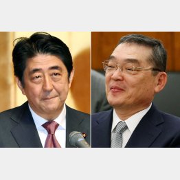 同じ穴のムジナ（Ｃ）日刊ゲンダイ