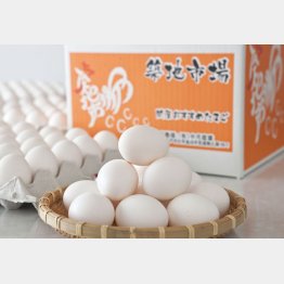 （Ｃ）日刊ゲンダイ