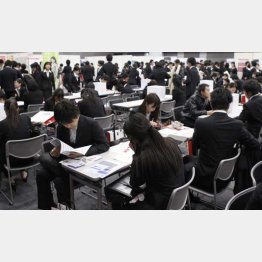 「売り手市場」といわれるが…（Ｃ）日刊ゲンダイ