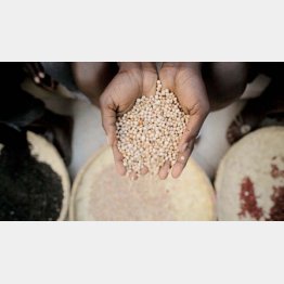 他人事ではない（提供写真）