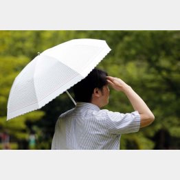 「遮光１級」なら遮光率９９．９９％（Ｃ）日刊ゲンダイ