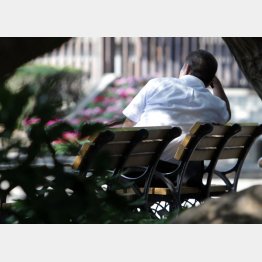 東京の５月の夏日は最多の１９日目（Ｃ）日刊ゲンダイ