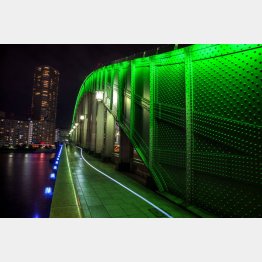 （Ｃ）日刊ゲンダイ