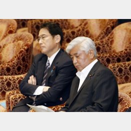 あいまい答弁を繰り返す岸田外相（左）と中谷防衛相（Ｃ）日刊ゲンダイ