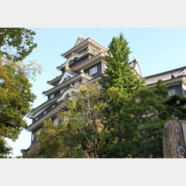「おかやまの旅」は完売（岡山城）（Ｃ）日刊ゲンダイ