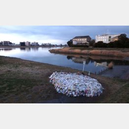 川崎中１殺害事件現場の河川敷（Ｃ）日刊ゲンダイ