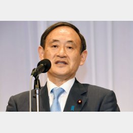 菅官房長官（Ｃ）日刊ゲンダイ