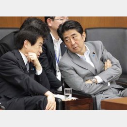 漏れた年金コンビの塩崎厚労相（左）と安倍首相（Ｃ）日刊ゲンダイ