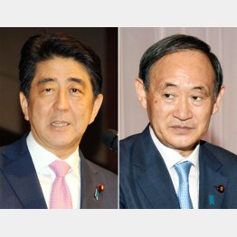 さすがに徴兵制はあり得ない（Ｃ）日刊ゲンダイ