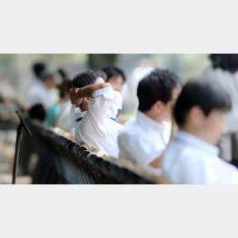 写真はイメージ（Ｃ）日刊ゲンダイ