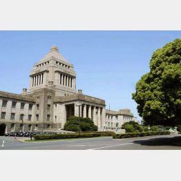 議員の大半は“開店休業”状態に（Ｃ）日刊ゲンダイ