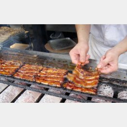 鰻は今年も高根の花だが…（Ｃ）日刊ゲンダイ