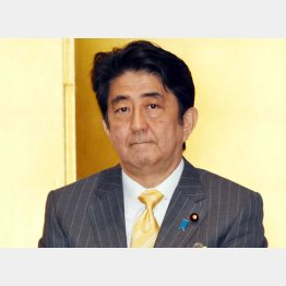 安倍首相がこだわり続けてきた2枚看板…（Ｃ）日刊ゲンダイ