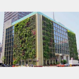 パソナ社員が怒りの告発（Ｃ）日刊ゲンダイ