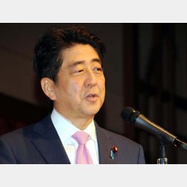 ノラリクラリ（Ｃ）日刊ゲンダイ